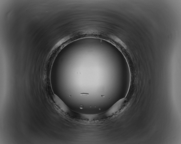 X0000085790922200703231304