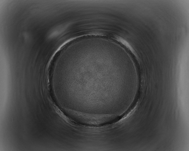 X0000085790923200703231304