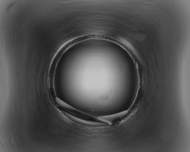 X0000085790924200703231304