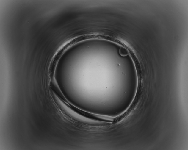 X0000085790925200703231304