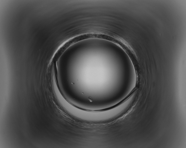 X0000085790926200703231304