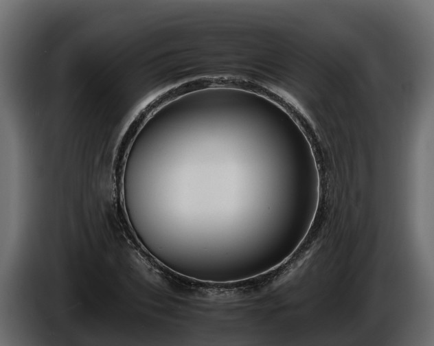 X0000085790927200703231304
