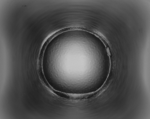 X0000085790928200703231304