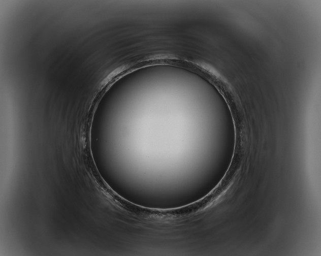 X0000085790929200703231304