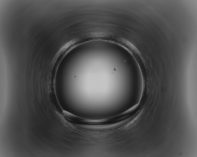 X0000085790930200703231305