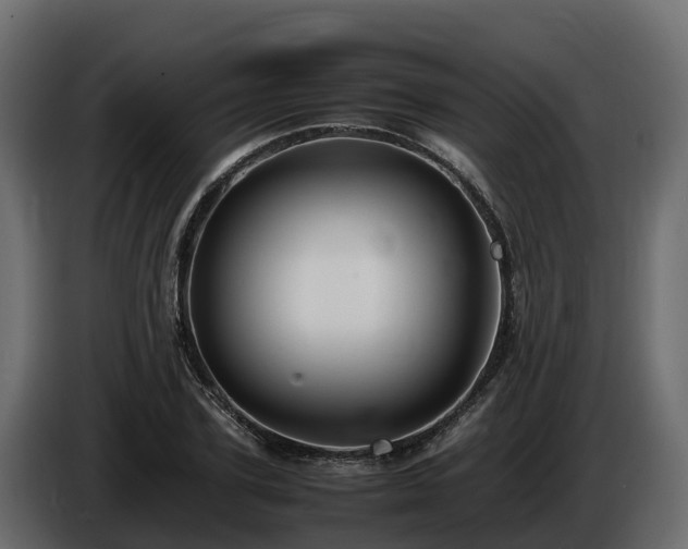 X0000085790931200703231305