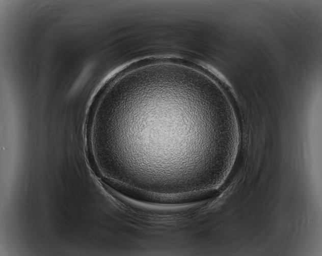 X0000085790935200703231305