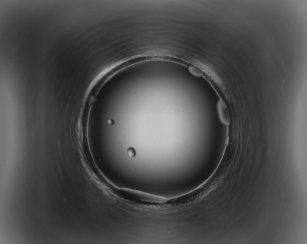 X0000085790936200703231305
