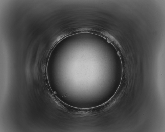 X0000085790937200703231305