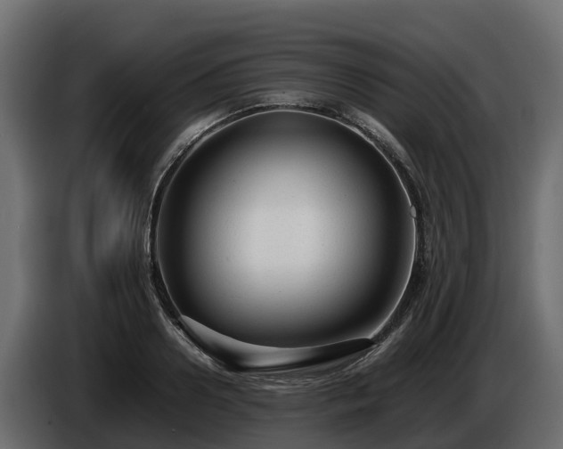X0000085790938200703231305