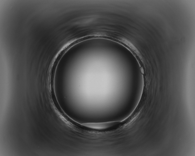 X0000085790939200703231305
