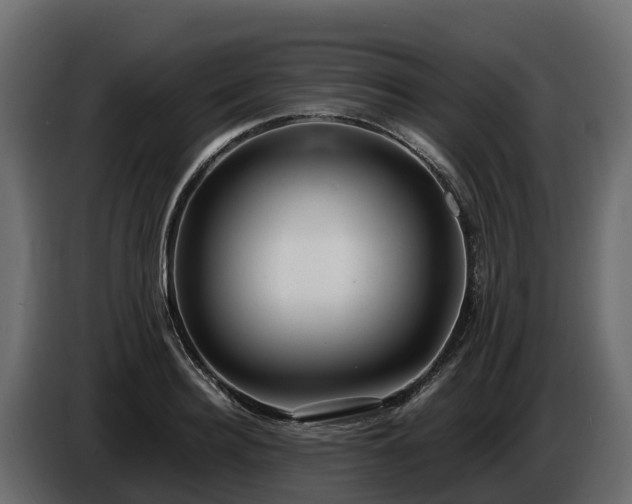 X0000085790940200703231305