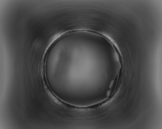 X0000085790941200703231305