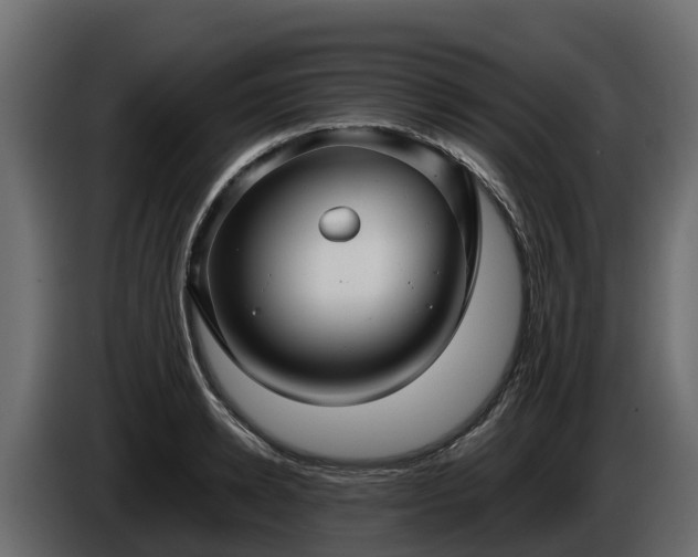 X0000085790942200703231305