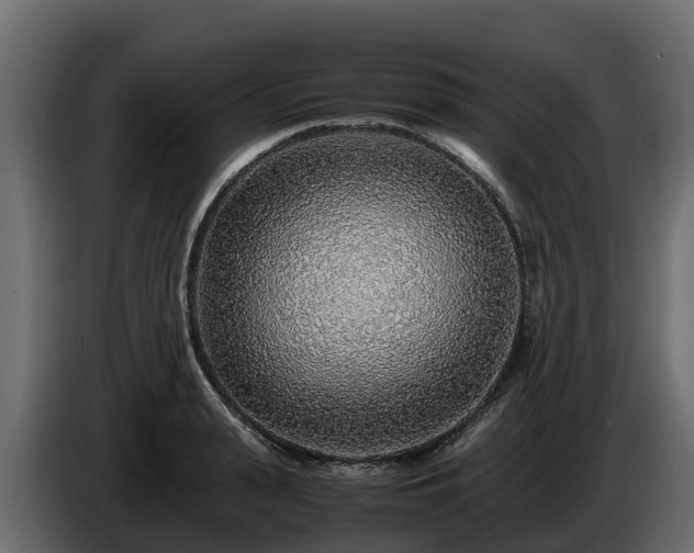 X0000085790943200703231305