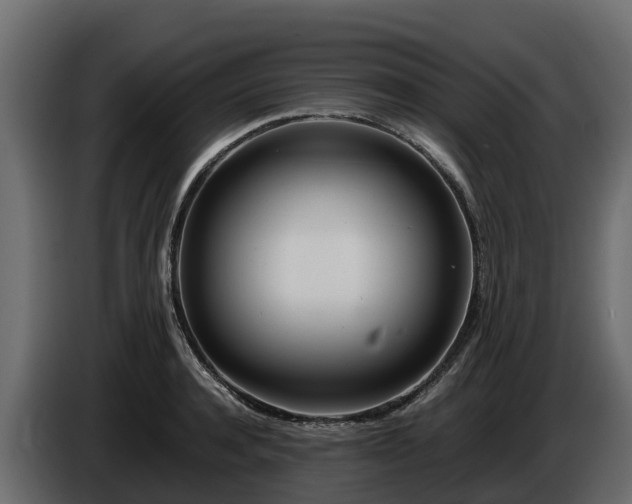 X0000085790944200703231305