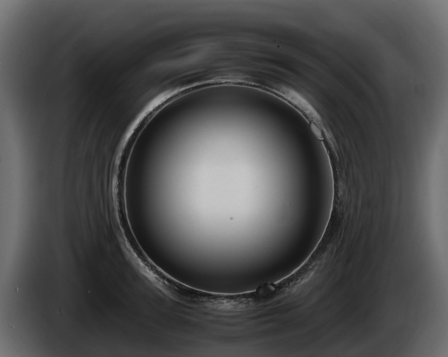 X0000085790947200703231305