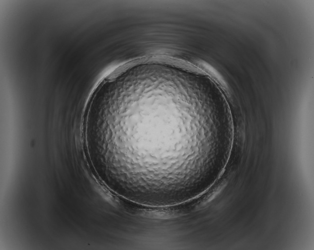 X0000085790948200703231305