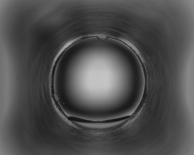 X0000085790949200703231305