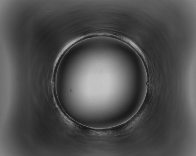 X0000085790951200703231305