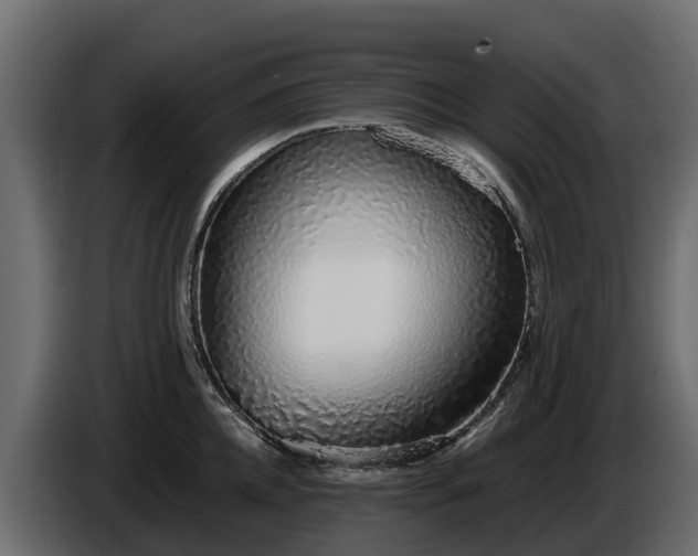 X0000085790952200703231305