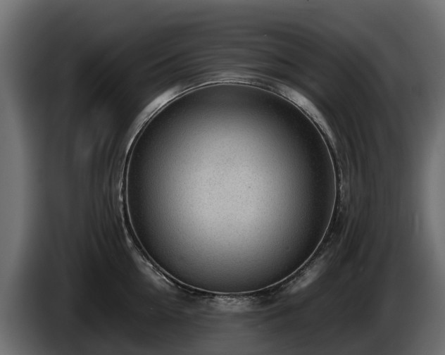 X0000085790954200703231305