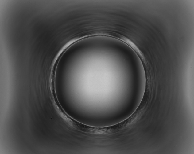X0000085790955200703231305