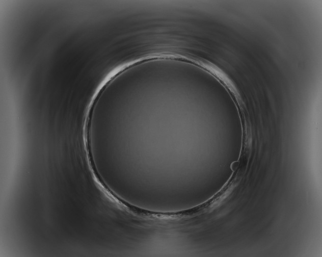 X0000085790958200703231305