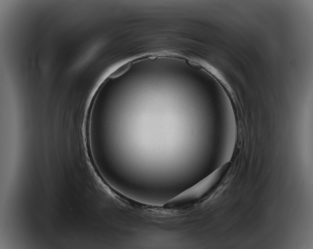 X0000085790959200703231305