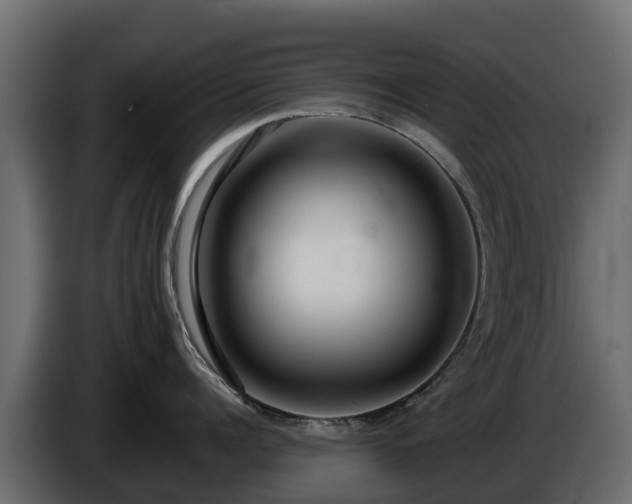 X0000085790960200703231305
