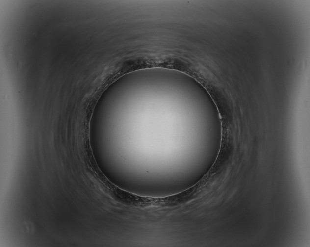 X0000085790961200703231304