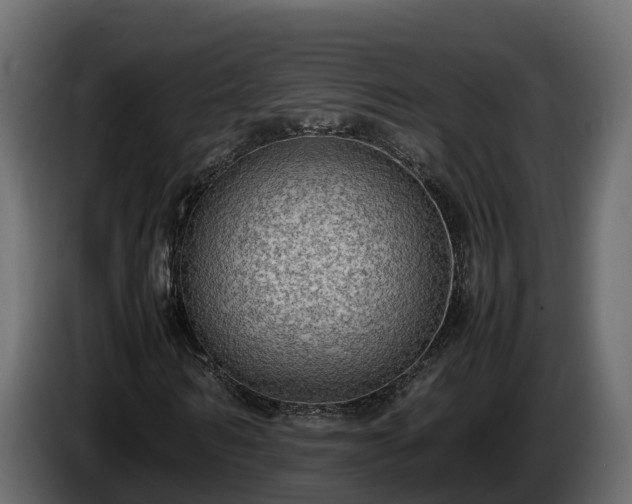 X0000085790962200703231304