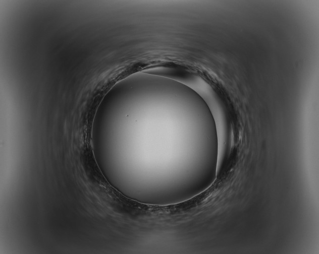 X0000085790965200703231304
