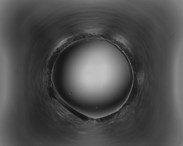 X0000085790968200703231304
