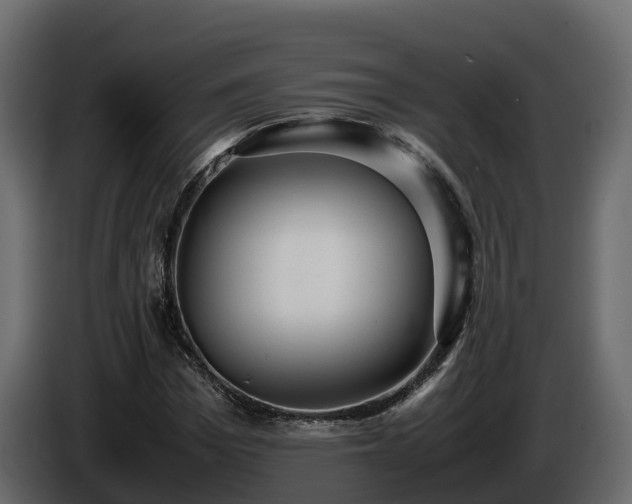 X0000085790969200703231304