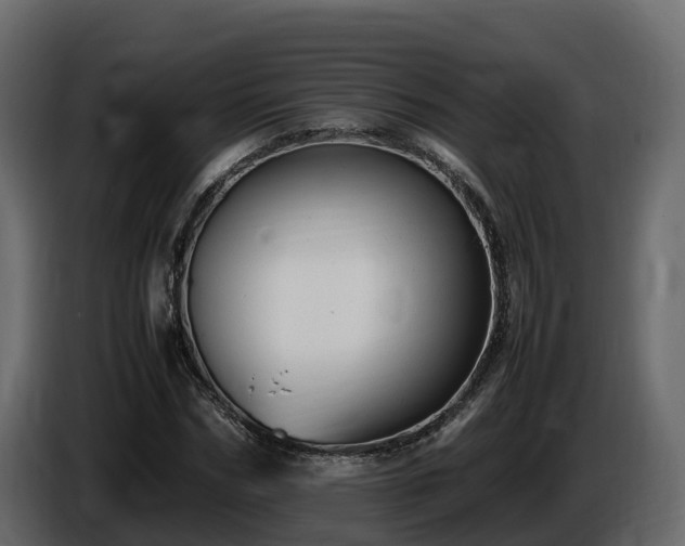 X0000085790970200703231304