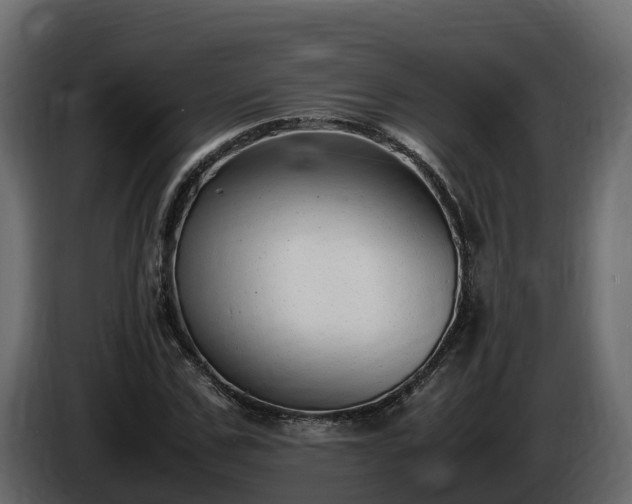 X0000085790971200703231304