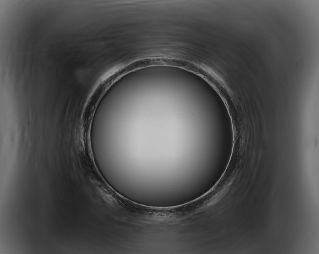 X0000085790974200703231304