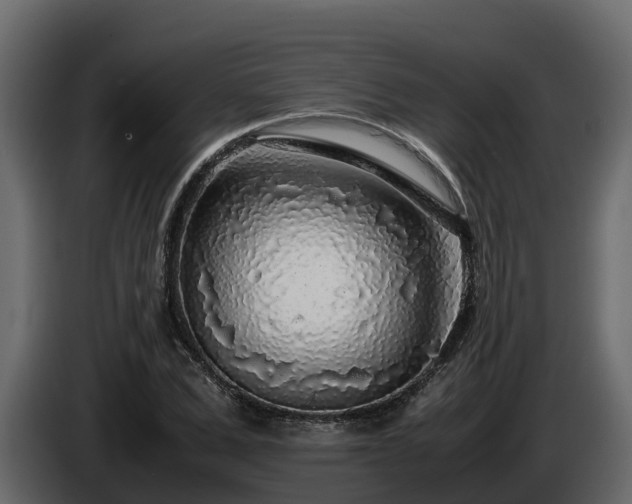 X0000085790975200703231304
