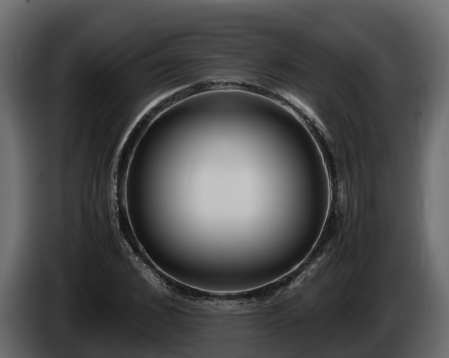 X0000085790976200703231304