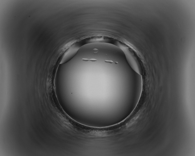 X0000085790977200703231304