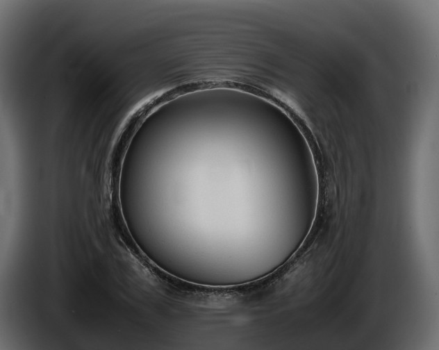 X0000085790979200703231304