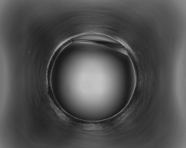X0000085790980200703231304