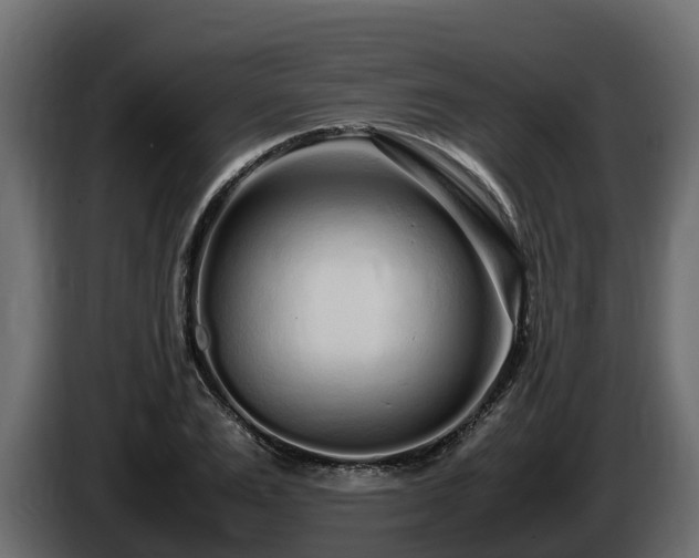 X0000085790983200703231304