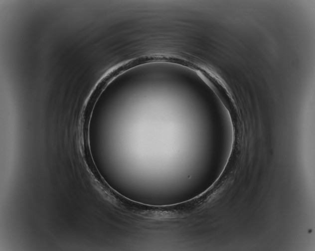 X0000085790984200703231304