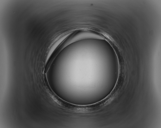 X0000085790985200703231304