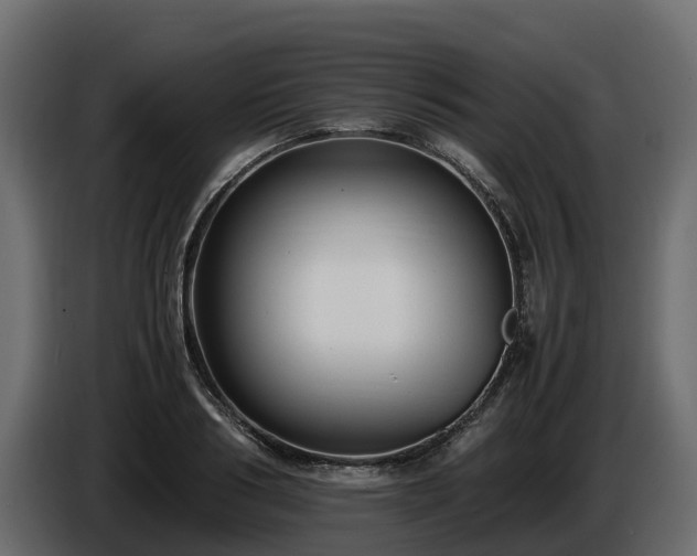 X0000085790986200703231304