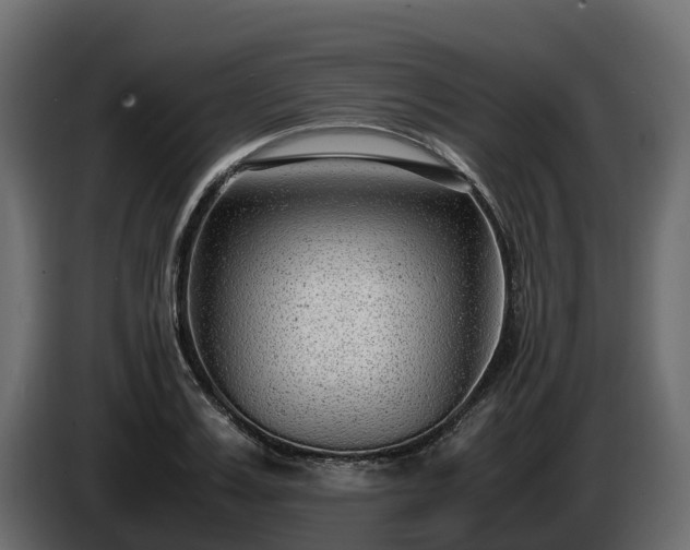 X0000085790987200703231304