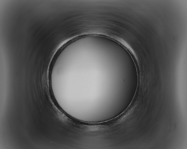 X0000085790988200703231304
