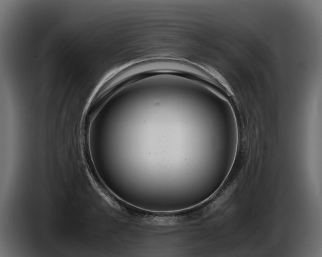 X0000085790989200703231304